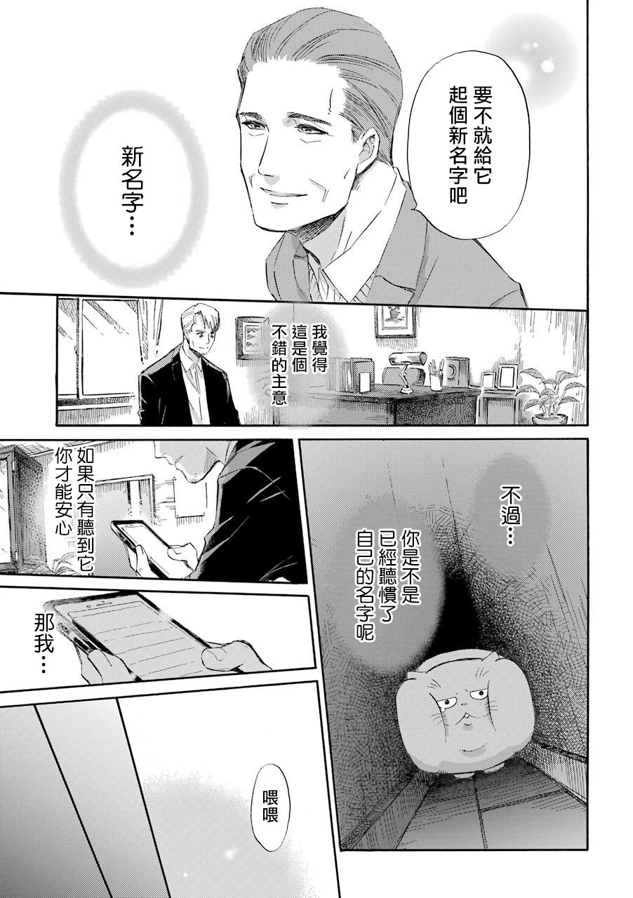 《大叔与猫》漫画最新章节第40话免费下拉式在线观看章节第【13】张图片