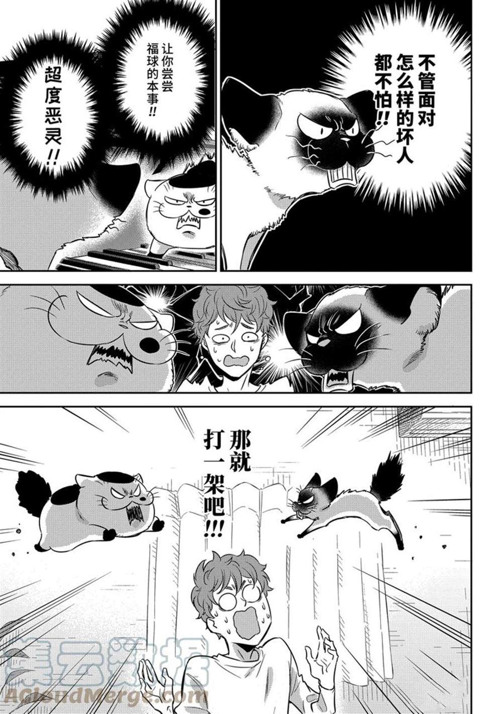 《大叔与猫》漫画最新章节第90话 试看版免费下拉式在线观看章节第【5】张图片