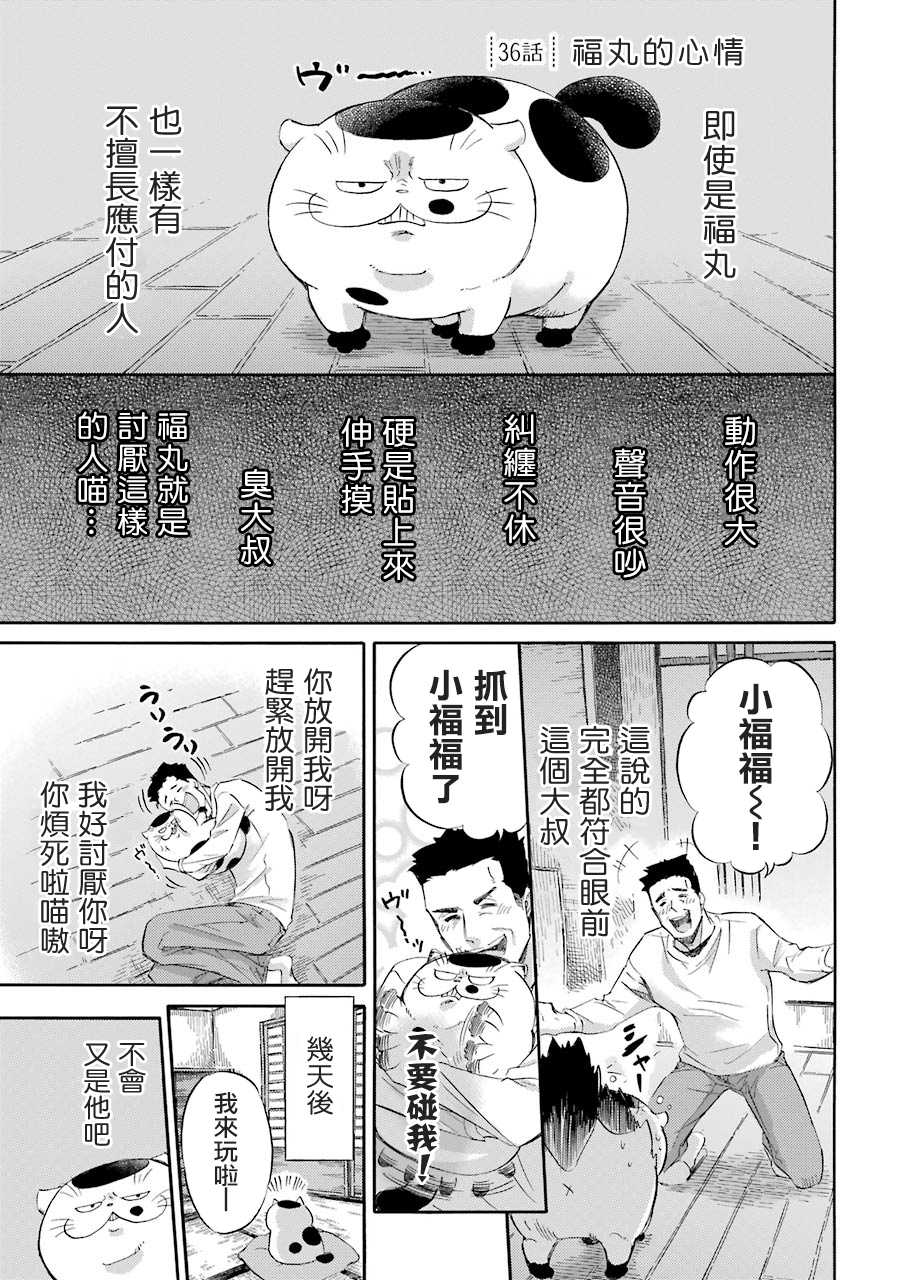 《大叔与猫》漫画最新章节第36话免费下拉式在线观看章节第【1】张图片