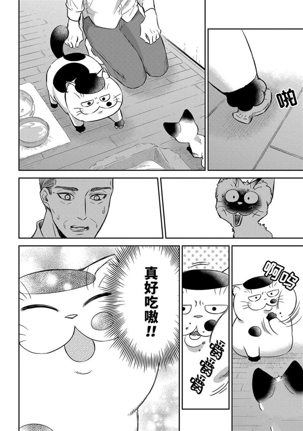 《大叔与猫》漫画最新章节第91话 试看版免费下拉式在线观看章节第【4】张图片