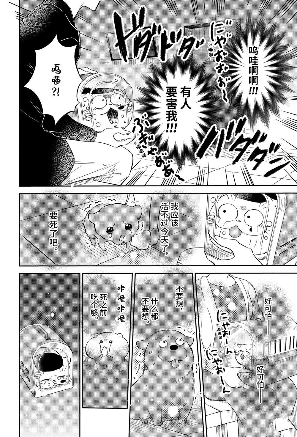 《大叔与猫》漫画最新章节第81话 试看版免费下拉式在线观看章节第【14】张图片