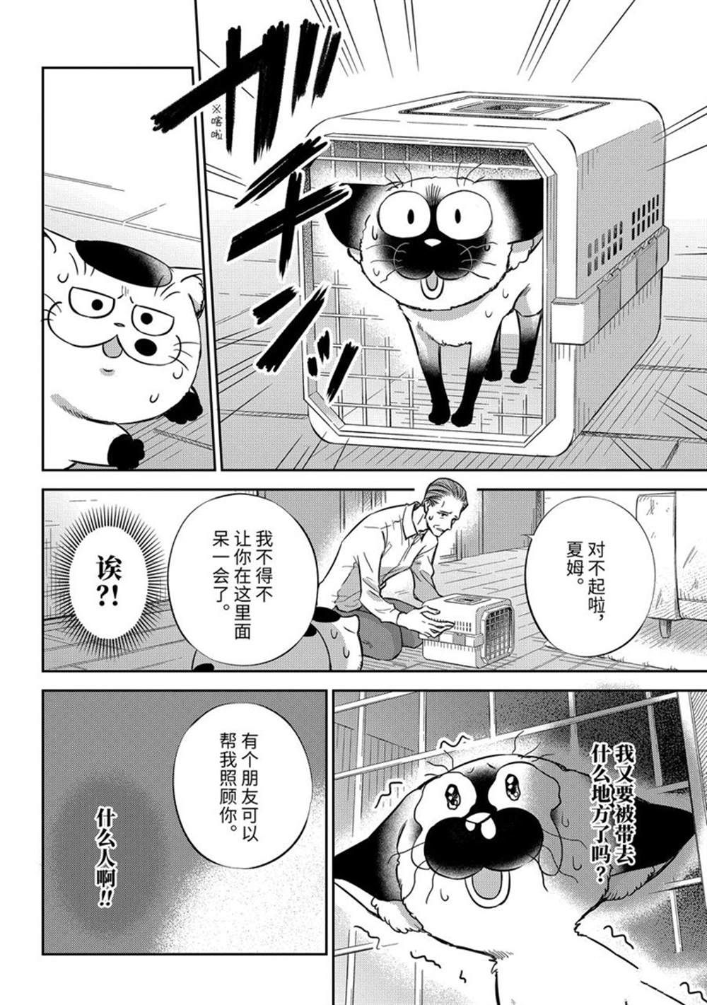 《大叔与猫》漫画最新章节第91话 试看版免费下拉式在线观看章节第【12】张图片