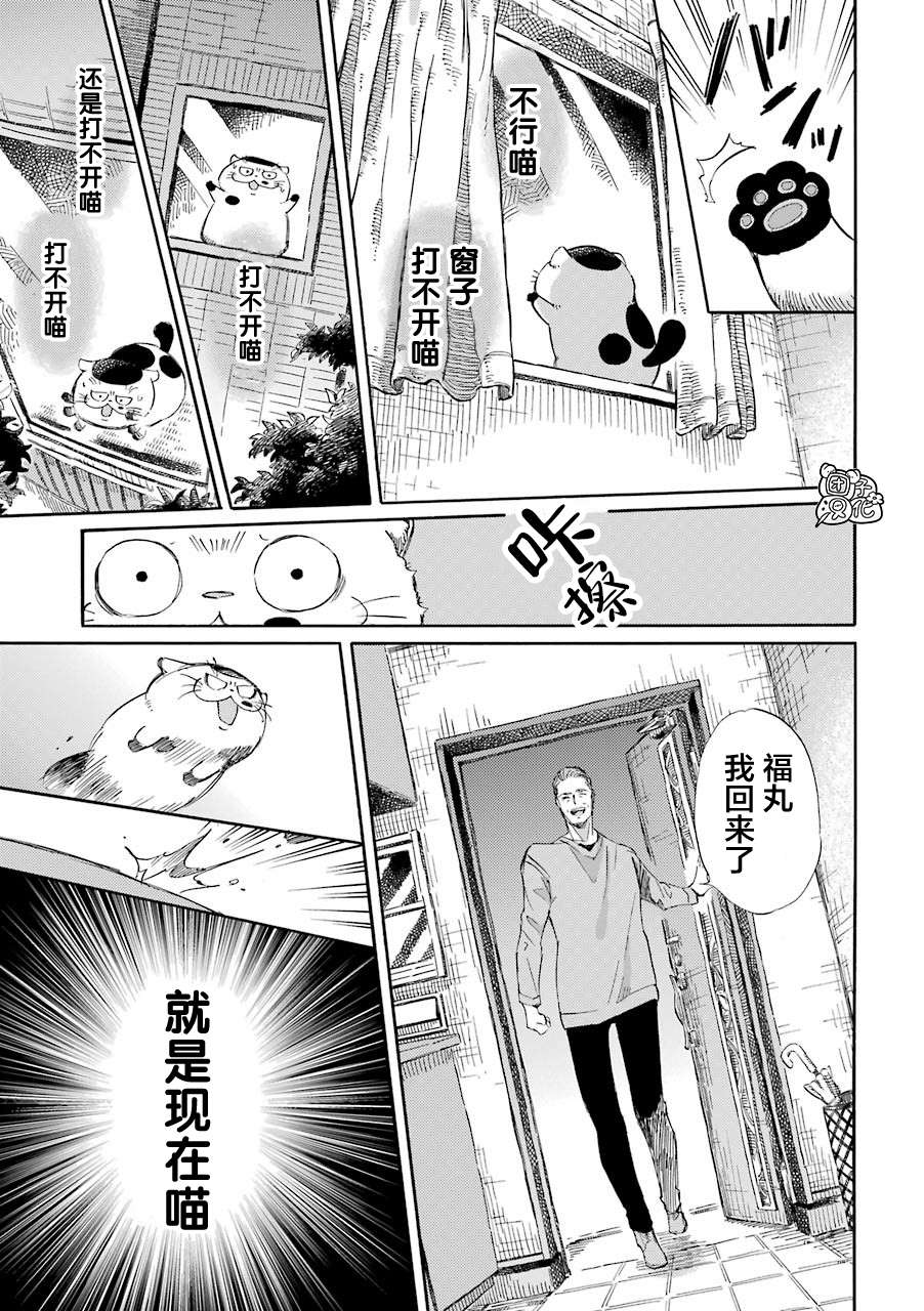 《大叔与猫》漫画最新章节第49话免费下拉式在线观看章节第【5】张图片