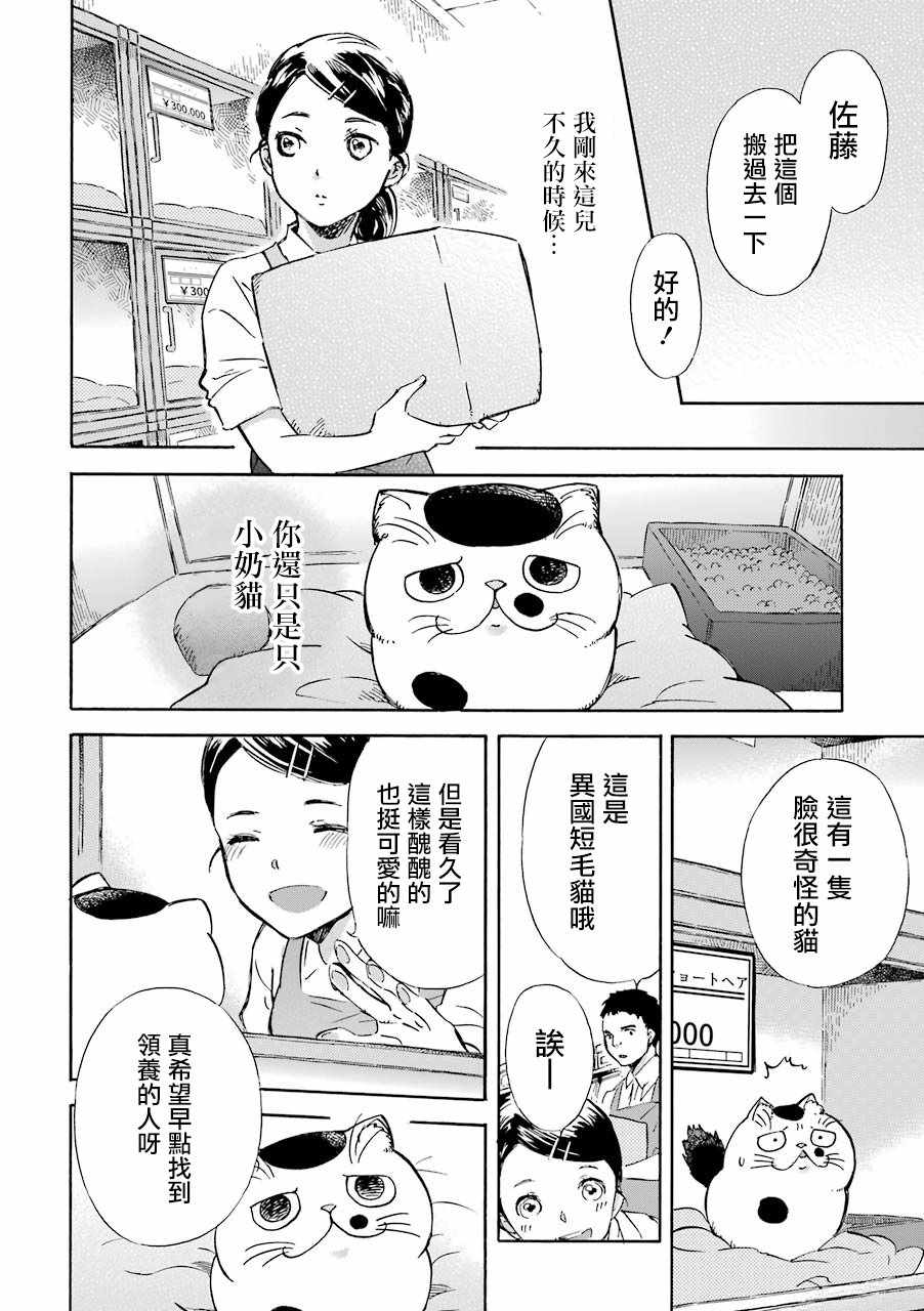 《大叔与猫》漫画最新章节第21话免费下拉式在线观看章节第【2】张图片