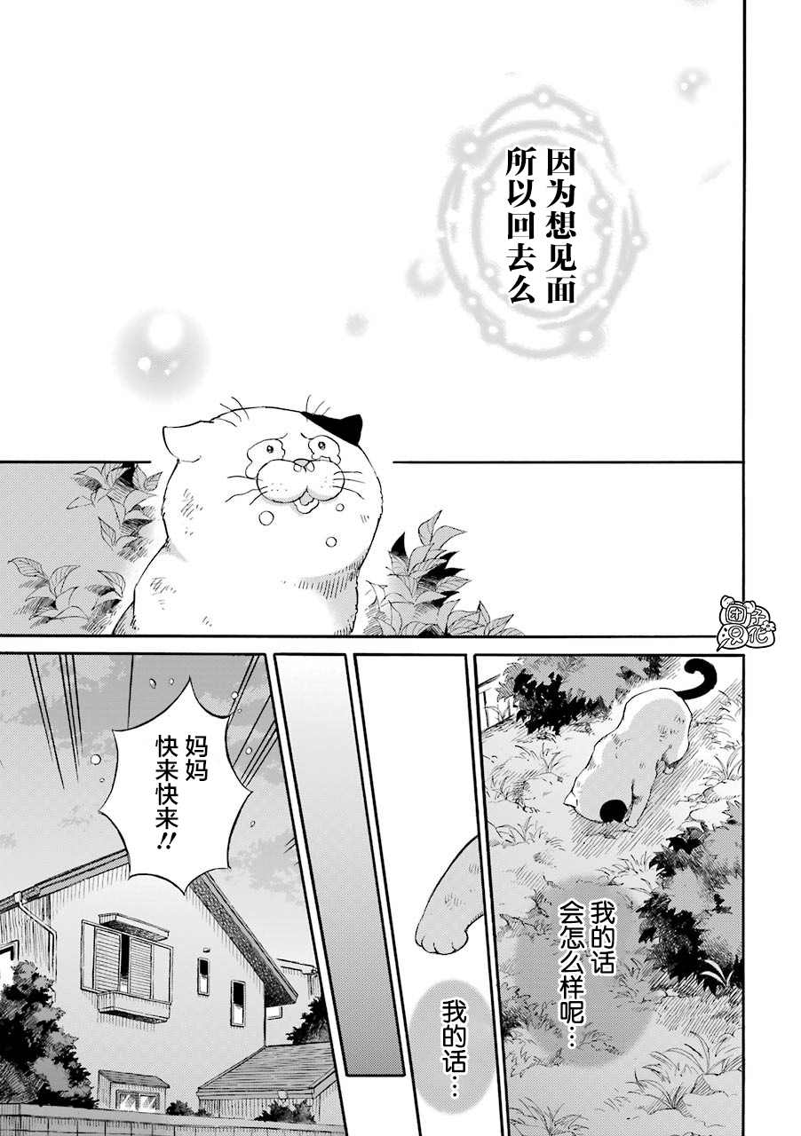 《大叔与猫》漫画最新章节第56.1话免费下拉式在线观看章节第【9】张图片