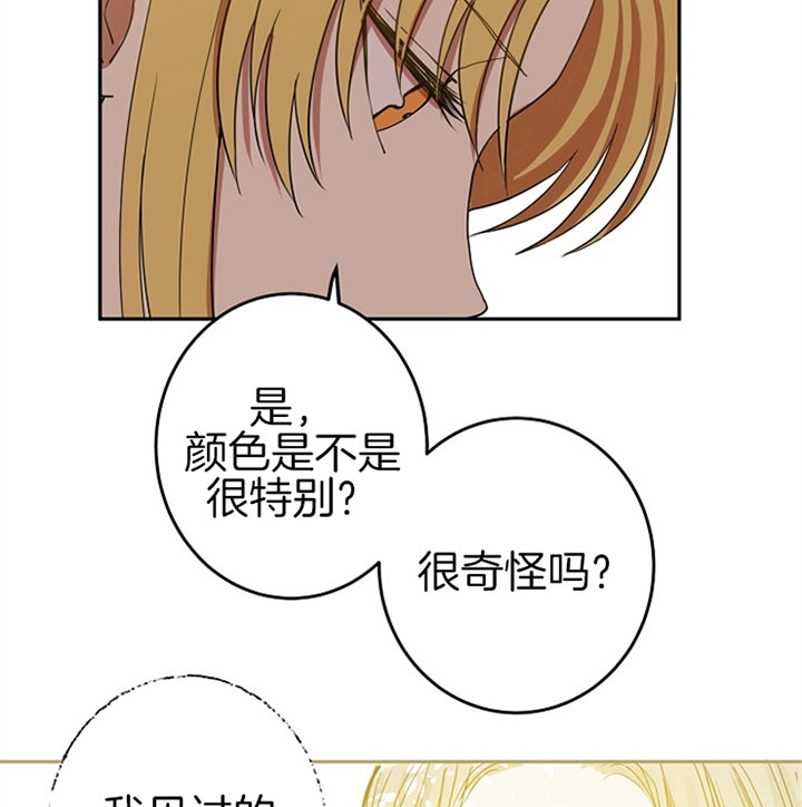 《君上臣下》漫画最新章节第21话免费下拉式在线观看章节第【13】张图片