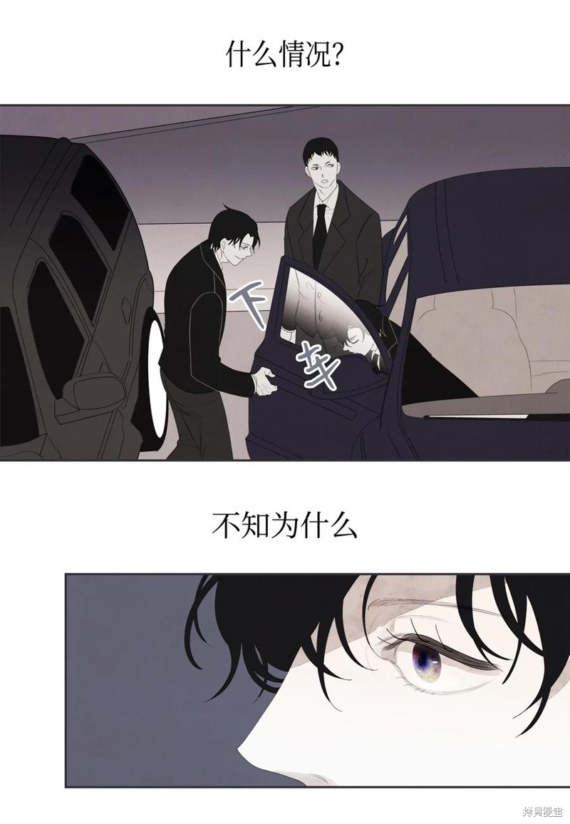 《凤凰爱史》漫画最新章节第1话免费下拉式在线观看章节第【47】张图片