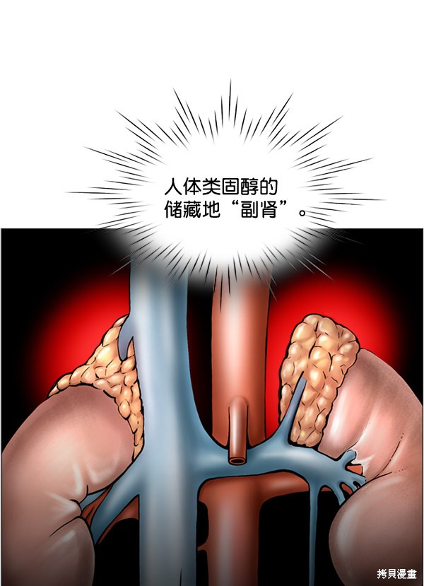 《生死急诊科》漫画最新章节第30话免费下拉式在线观看章节第【17】张图片