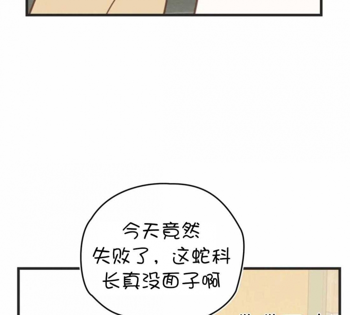 《恶魔的诱惑》漫画最新章节第210话免费下拉式在线观看章节第【3】张图片