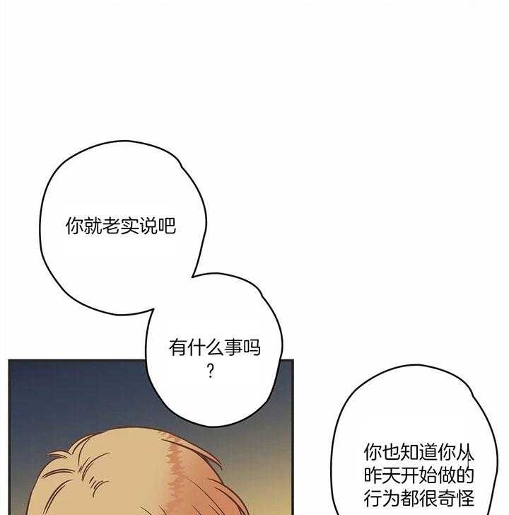 《恶魔的诱惑》漫画最新章节第181话免费下拉式在线观看章节第【34】张图片