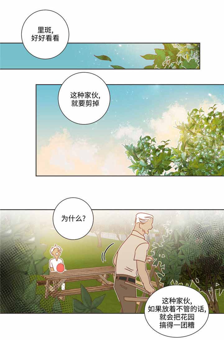 《恶魔的诱惑》漫画最新章节第68话免费下拉式在线观看章节第【7】张图片