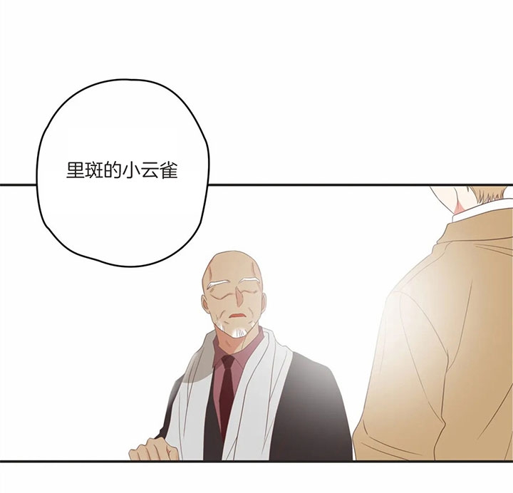 《恶魔的诱惑》漫画最新章节第171话免费下拉式在线观看章节第【35】张图片