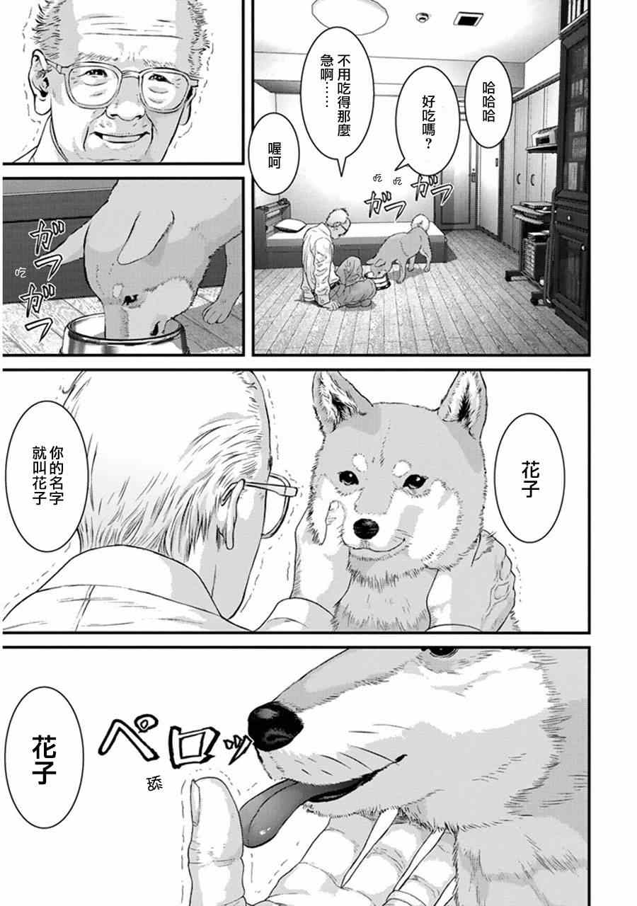 《犬舍》漫画最新章节第1话免费下拉式在线观看章节第【27】张图片