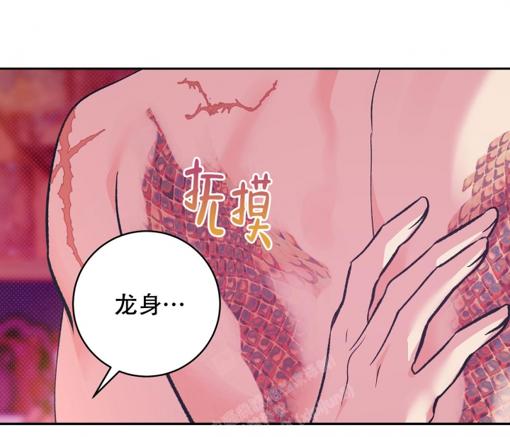 《逆鳞》漫画最新章节第47话免费下拉式在线观看章节第【13】张图片