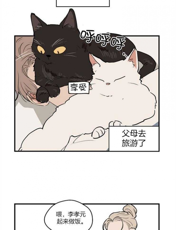 《灵感之源(第二季连载)》漫画最新章节第71话免费下拉式在线观看章节第【18】张图片