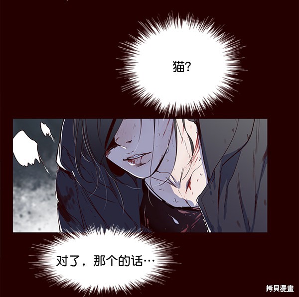 《觉醒吧，铲屎官！》漫画最新章节第1话免费下拉式在线观看章节第【10】张图片