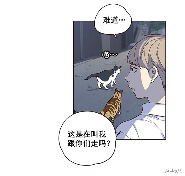 《觉醒吧，铲屎官！》漫画最新章节第1话免费下拉式在线观看章节第【59】张图片