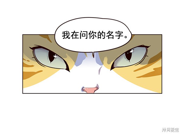 《觉醒吧，铲屎官！》漫画最新章节第1话免费下拉式在线观看章节第【113】张图片