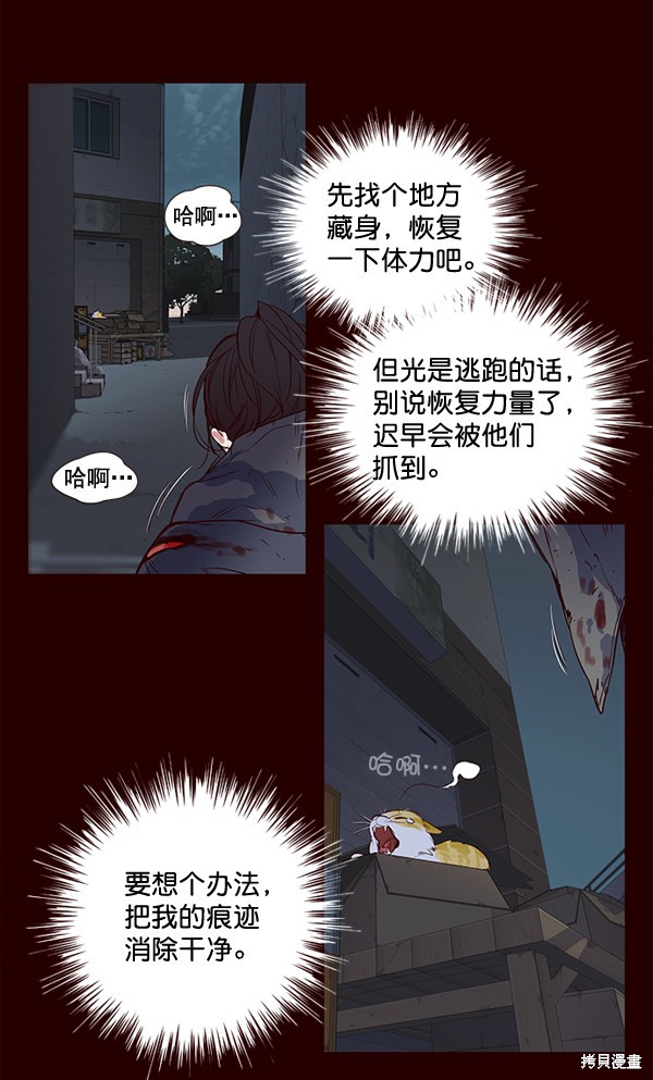 《觉醒吧，铲屎官！》漫画最新章节第1话免费下拉式在线观看章节第【9】张图片