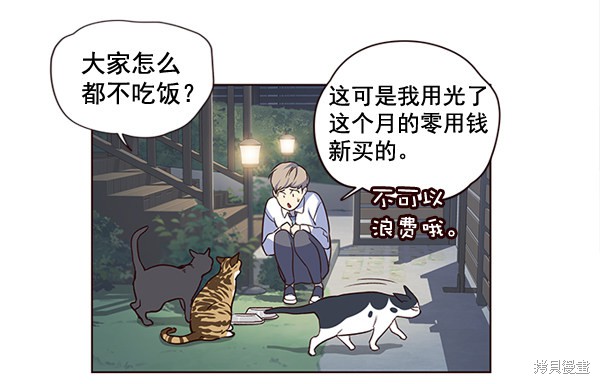 《觉醒吧，铲屎官！》漫画最新章节第1话免费下拉式在线观看章节第【56】张图片