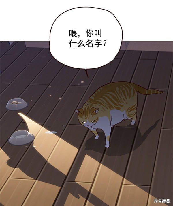 《觉醒吧，铲屎官！》漫画最新章节第1话免费下拉式在线观看章节第【111】张图片