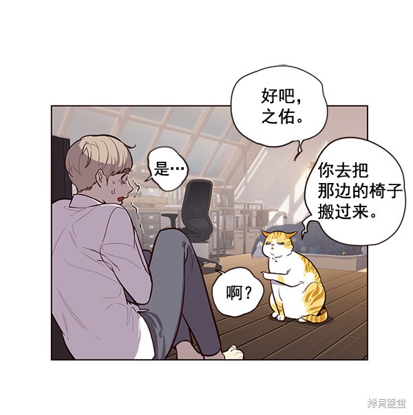 《觉醒吧，铲屎官！》漫画最新章节第1话免费下拉式在线观看章节第【116】张图片