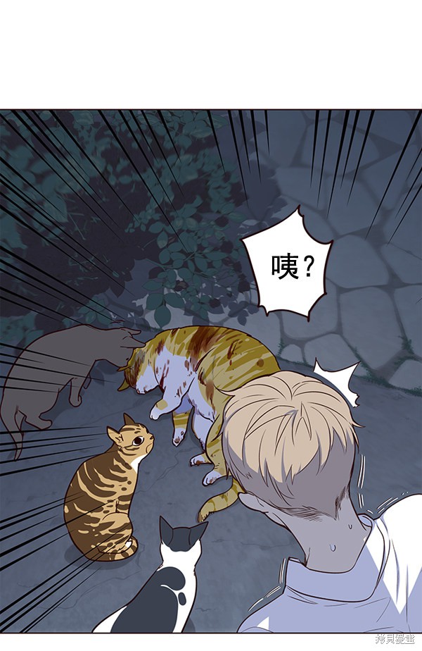 《觉醒吧，铲屎官！》漫画最新章节第1话免费下拉式在线观看章节第【62】张图片