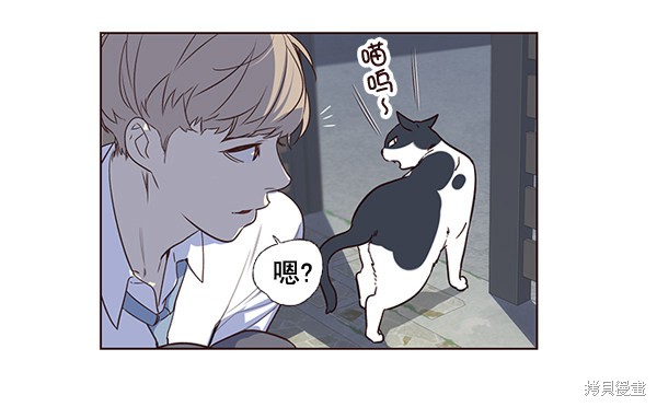 《觉醒吧，铲屎官！》漫画最新章节第1话免费下拉式在线观看章节第【57】张图片