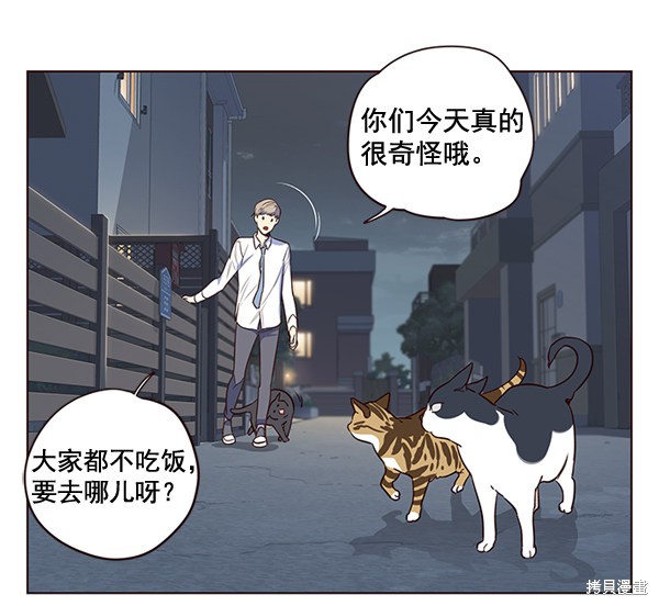 《觉醒吧，铲屎官！》漫画最新章节第1话免费下拉式在线观看章节第【58】张图片