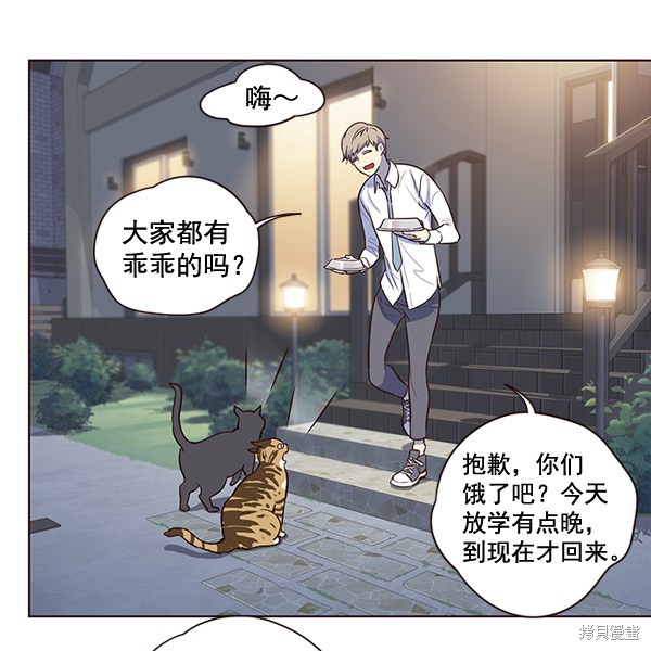 《觉醒吧，铲屎官！》漫画最新章节第1话免费下拉式在线观看章节第【53】张图片