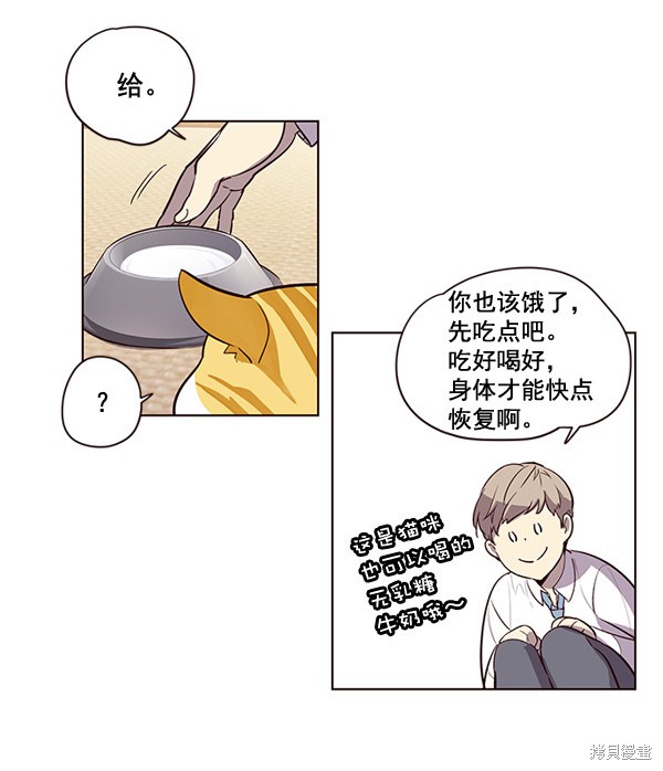 《觉醒吧，铲屎官！》漫画最新章节第1话免费下拉式在线观看章节第【87】张图片