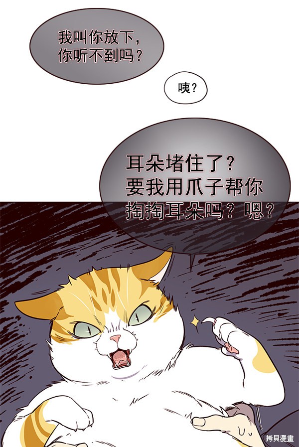 《觉醒吧，铲屎官！》漫画最新章节第1话免费下拉式在线观看章节第【103】张图片