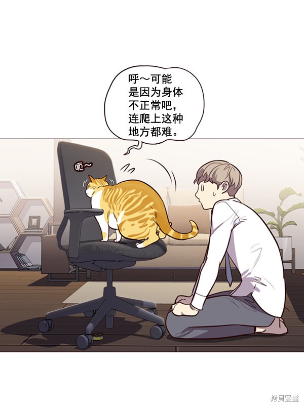 《觉醒吧，铲屎官！》漫画最新章节第1话免费下拉式在线观看章节第【122】张图片