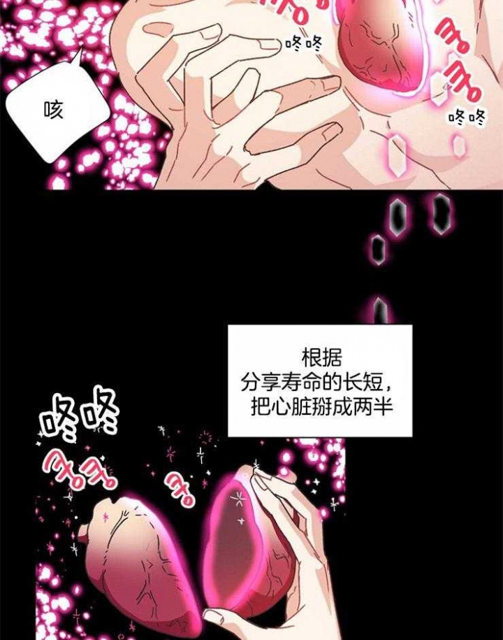 《破碎的心在流逝》漫画最新章节第66话免费下拉式在线观看章节第【14】张图片