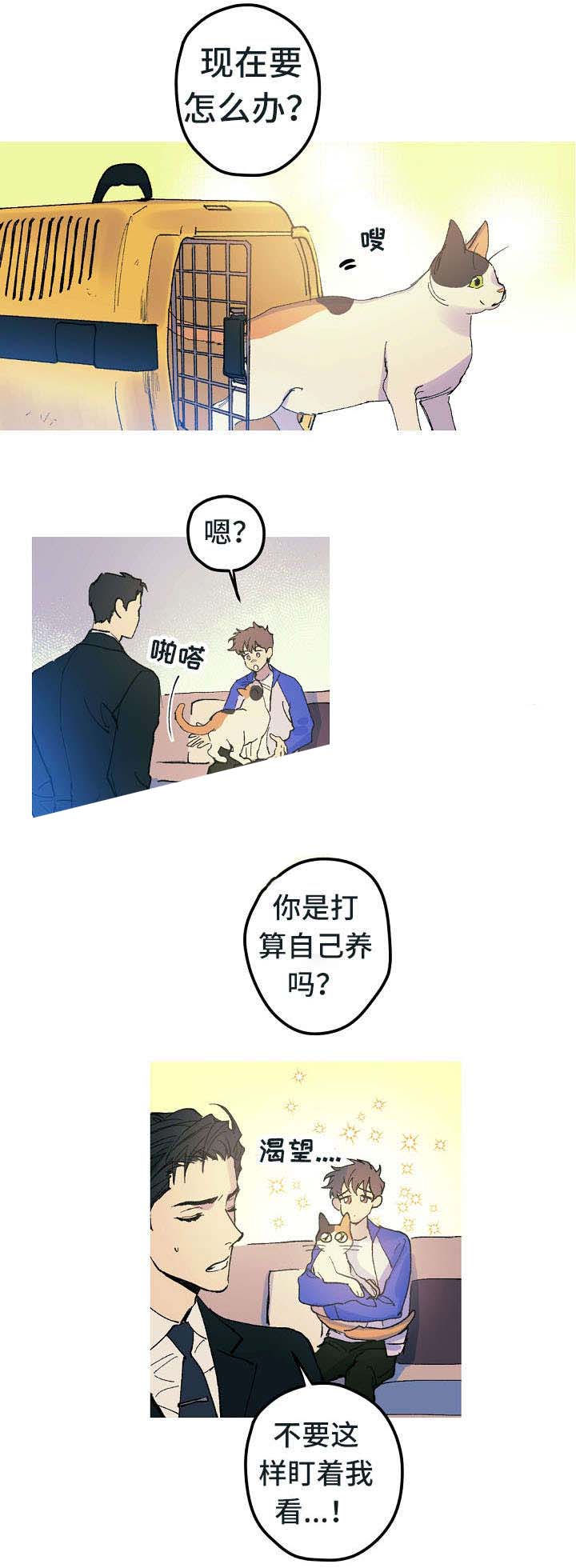 《男友背着我算命》漫画最新章节第13话免费下拉式在线观看章节第【13】张图片