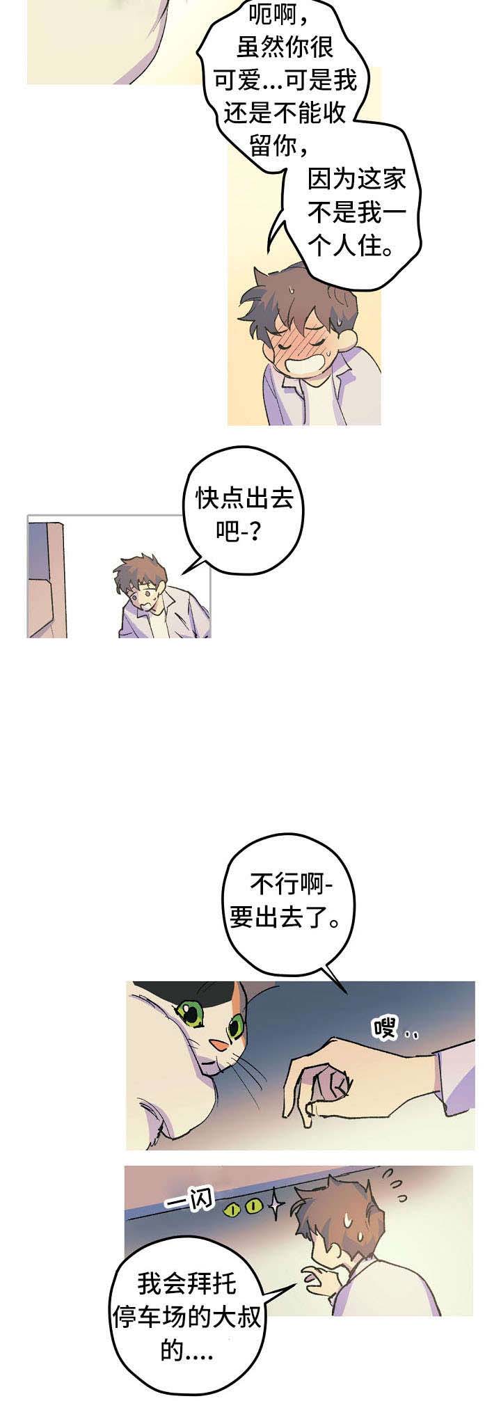 《男友背着我算命》漫画最新章节第12话免费下拉式在线观看章节第【11】张图片