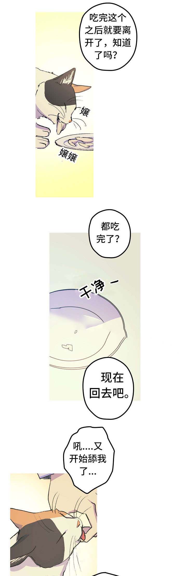 《男友背着我算命》漫画最新章节第12话免费下拉式在线观看章节第【9】张图片