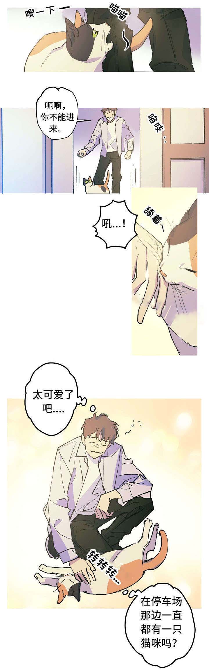 《男友背着我算命》漫画最新章节第12话免费下拉式在线观看章节第【1】张图片