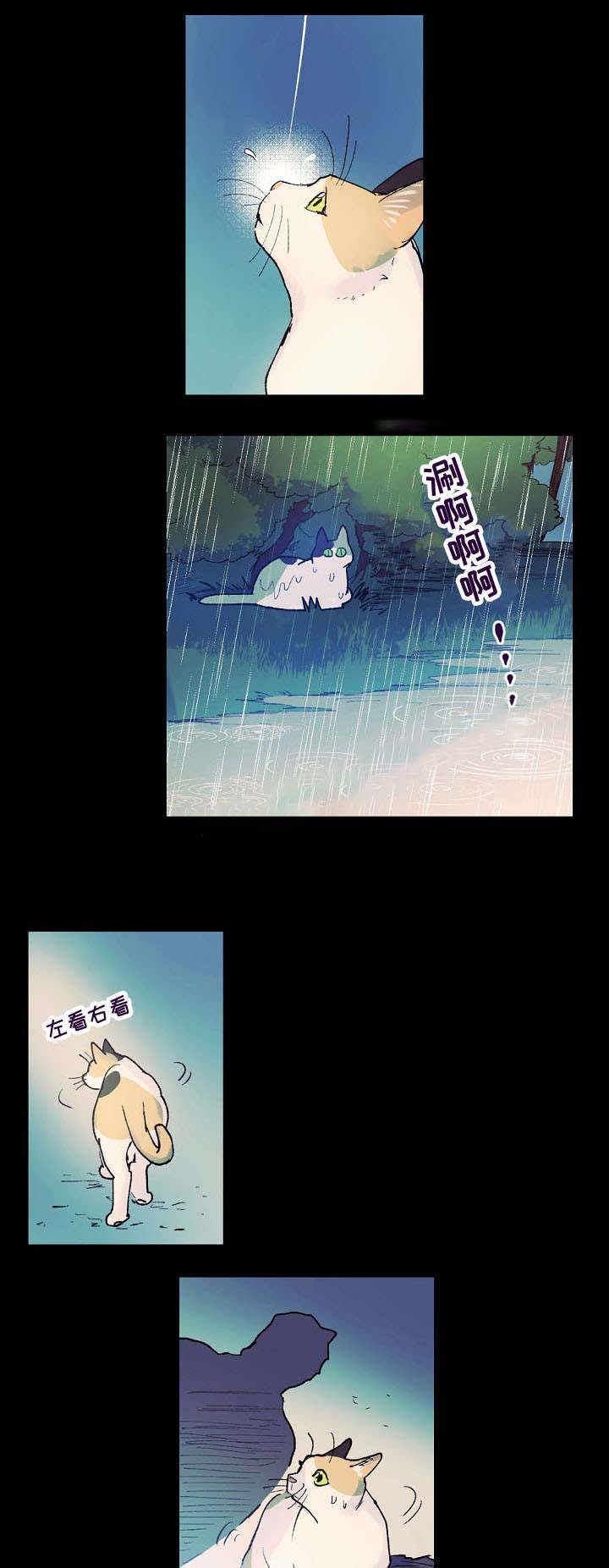 《男友背着我算命》漫画最新章节第14话免费下拉式在线观看章节第【15】张图片