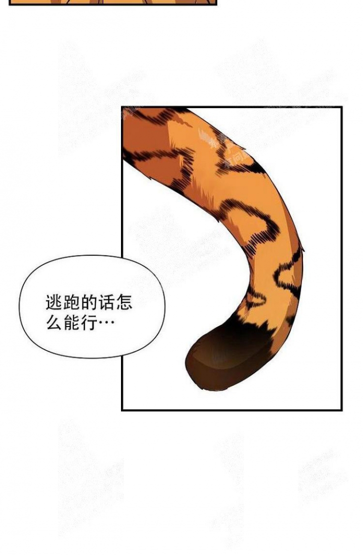 《可爱的尾巴》漫画最新章节第25话免费下拉式在线观看章节第【25】张图片