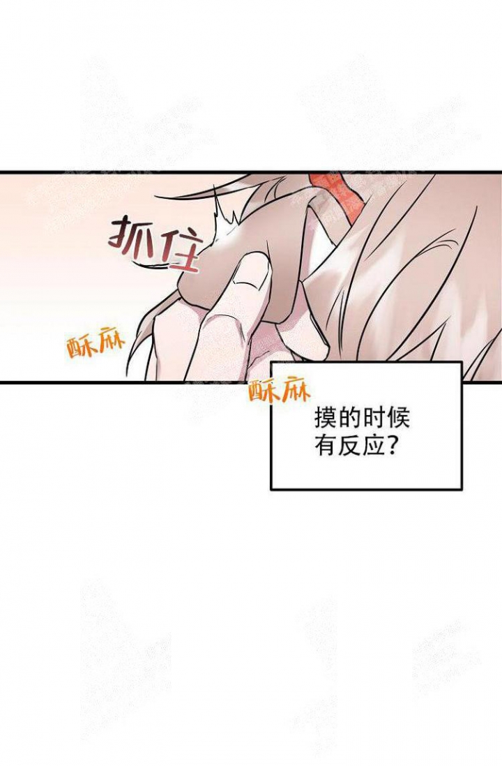 《可爱的尾巴》漫画最新章节第18话免费下拉式在线观看章节第【18】张图片