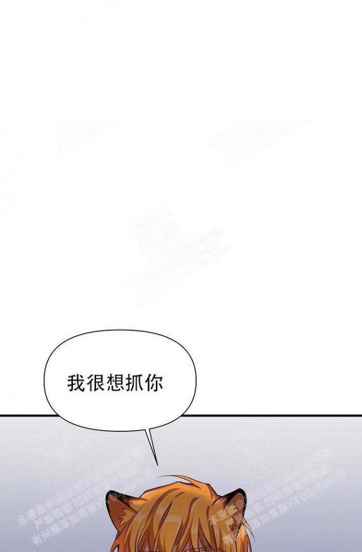 《可爱的尾巴》漫画最新章节第25话免费下拉式在线观看章节第【27】张图片