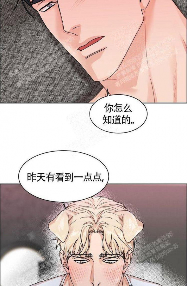 《可爱的尾巴》漫画最新章节第4话免费下拉式在线观看章节第【17】张图片