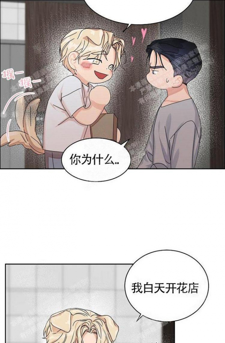 《可爱的尾巴》漫画最新章节第4话免费下拉式在线观看章节第【2】张图片