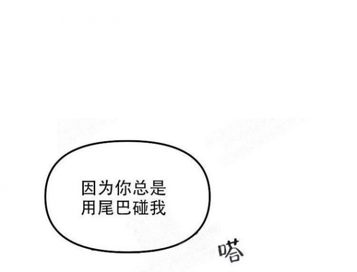 《可爱的尾巴》漫画最新章节第19话免费下拉式在线观看章节第【31】张图片