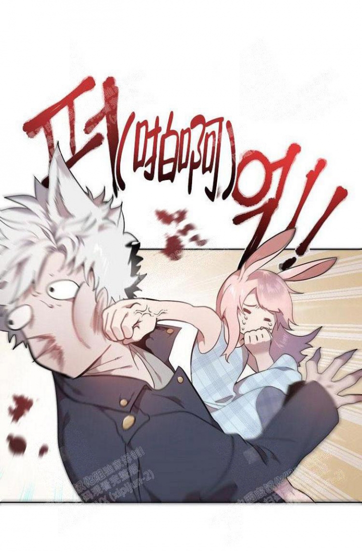 《可爱的尾巴》漫画最新章节第6话免费下拉式在线观看章节第【3】张图片