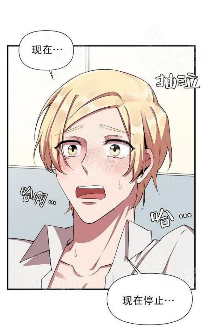 《可爱的尾巴》漫画最新章节第27话免费下拉式在线观看章节第【19】张图片