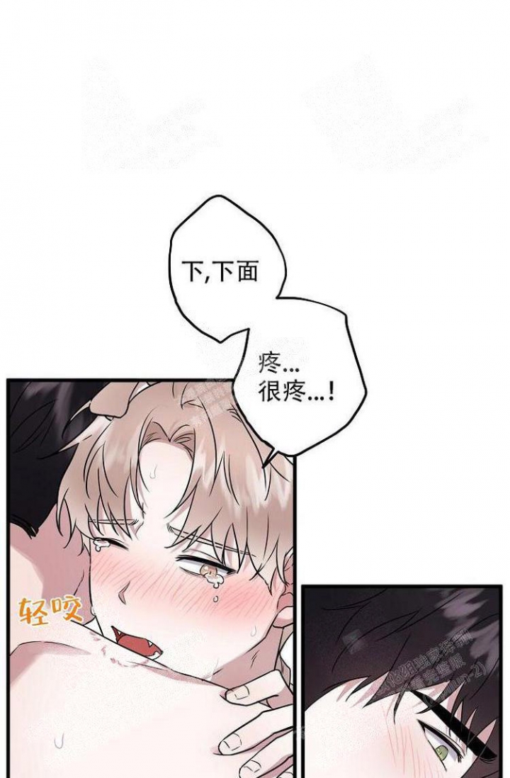 《可爱的尾巴》漫画最新章节第18话免费下拉式在线观看章节第【6】张图片