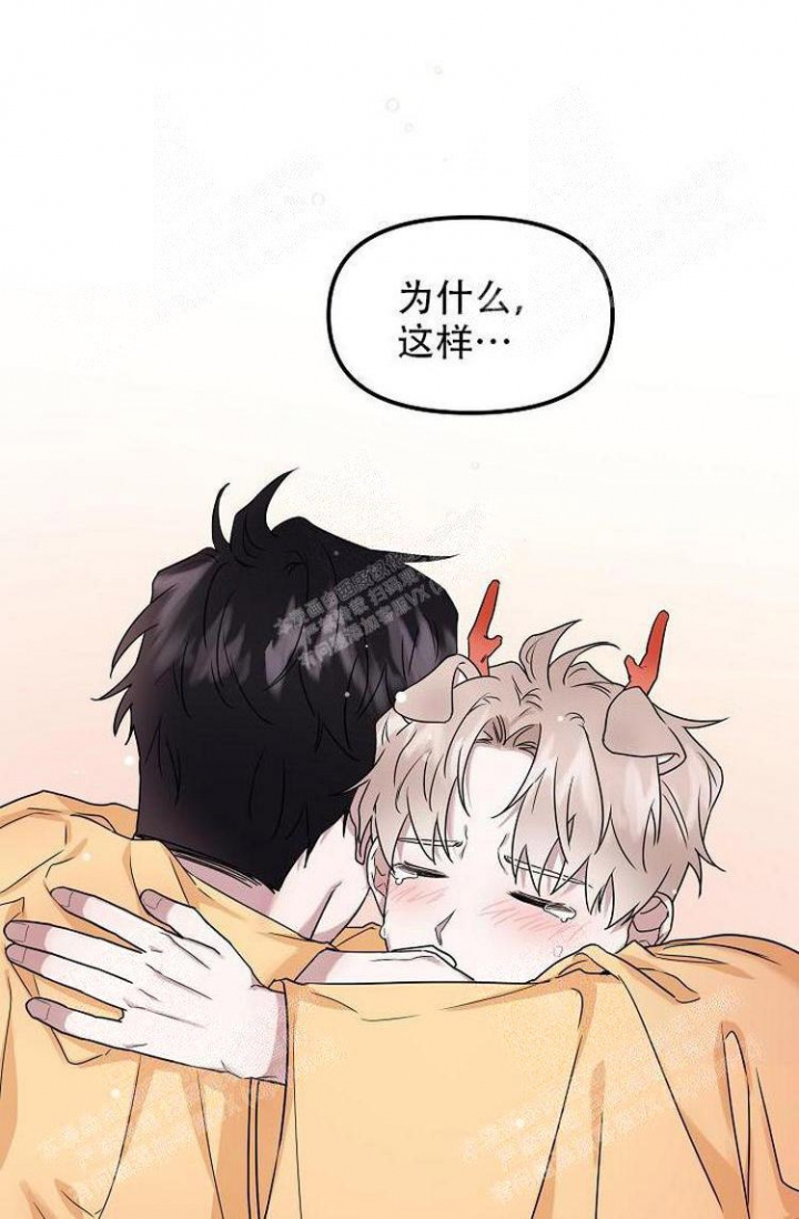 《可爱的尾巴》漫画最新章节第17话免费下拉式在线观看章节第【41】张图片