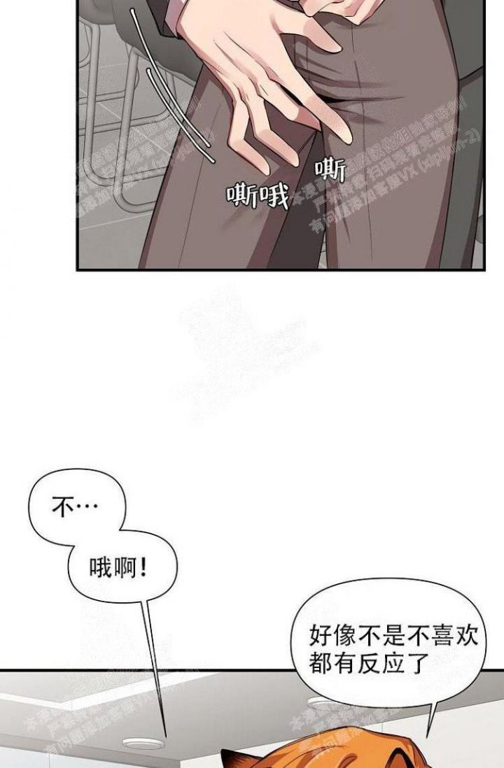 《可爱的尾巴》漫画最新章节第25话免费下拉式在线观看章节第【31】张图片